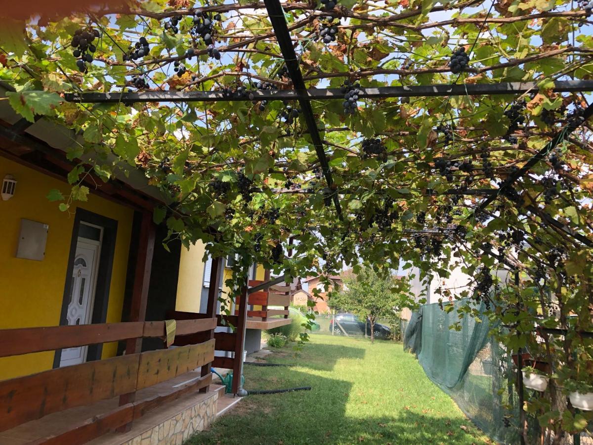 Lux Hus Novi Sad Apartamento Veternik Exterior foto